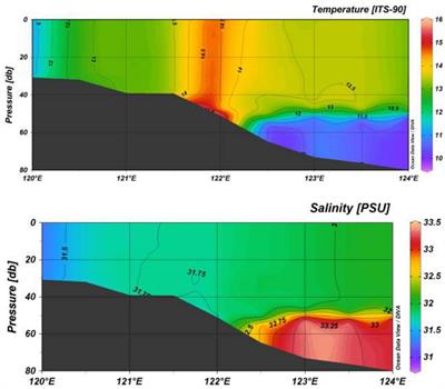 The Sandwich Structure of the Southern Yellow Sea Cold Water Mass and Yellow Sea Warm Current